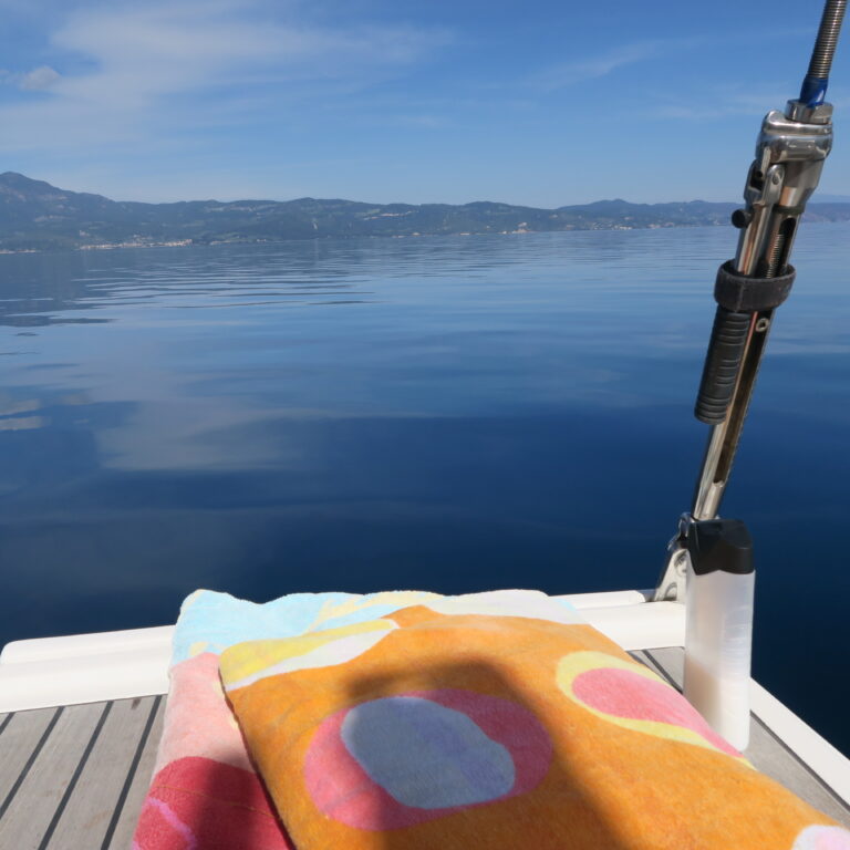 Den første dukkert i det blå vand