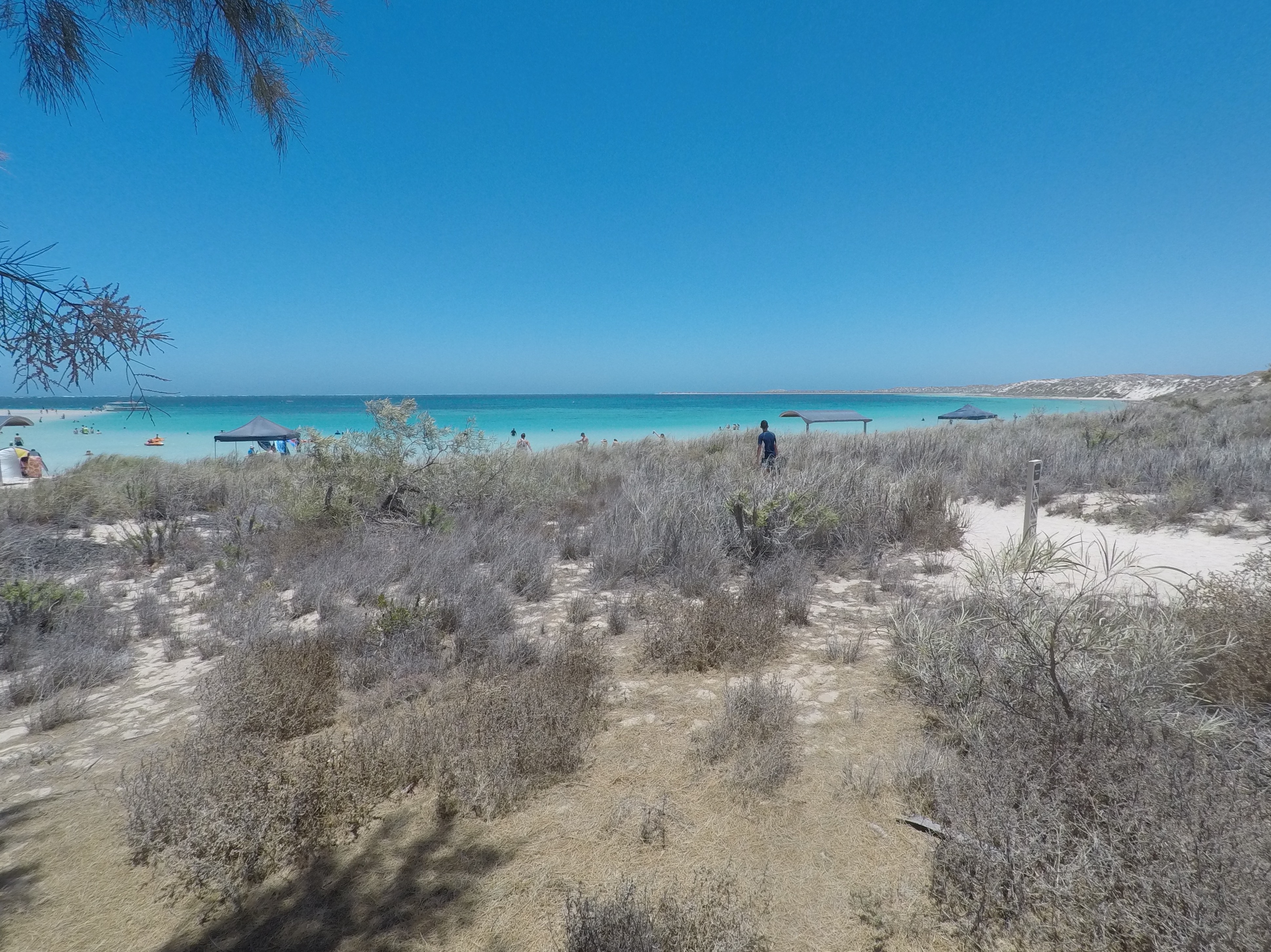 Snorkling i Coral Bay