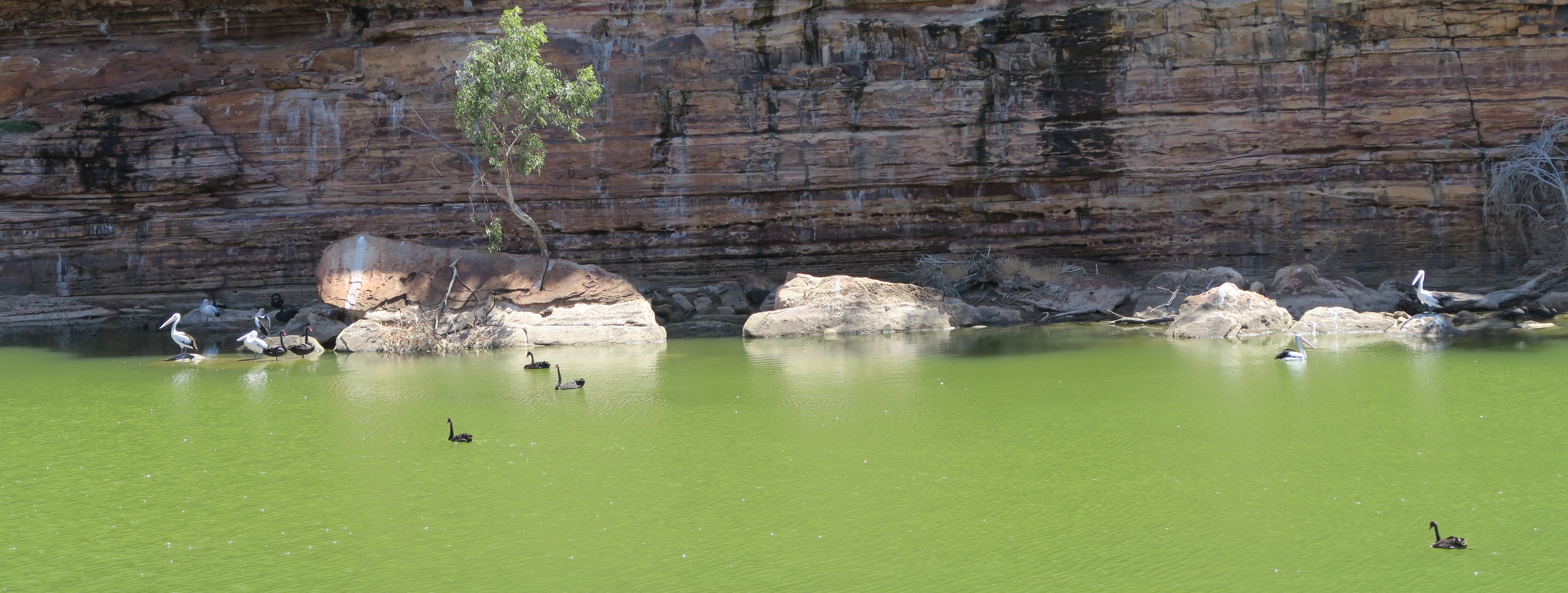 Kalbarri – Trekking The Loop