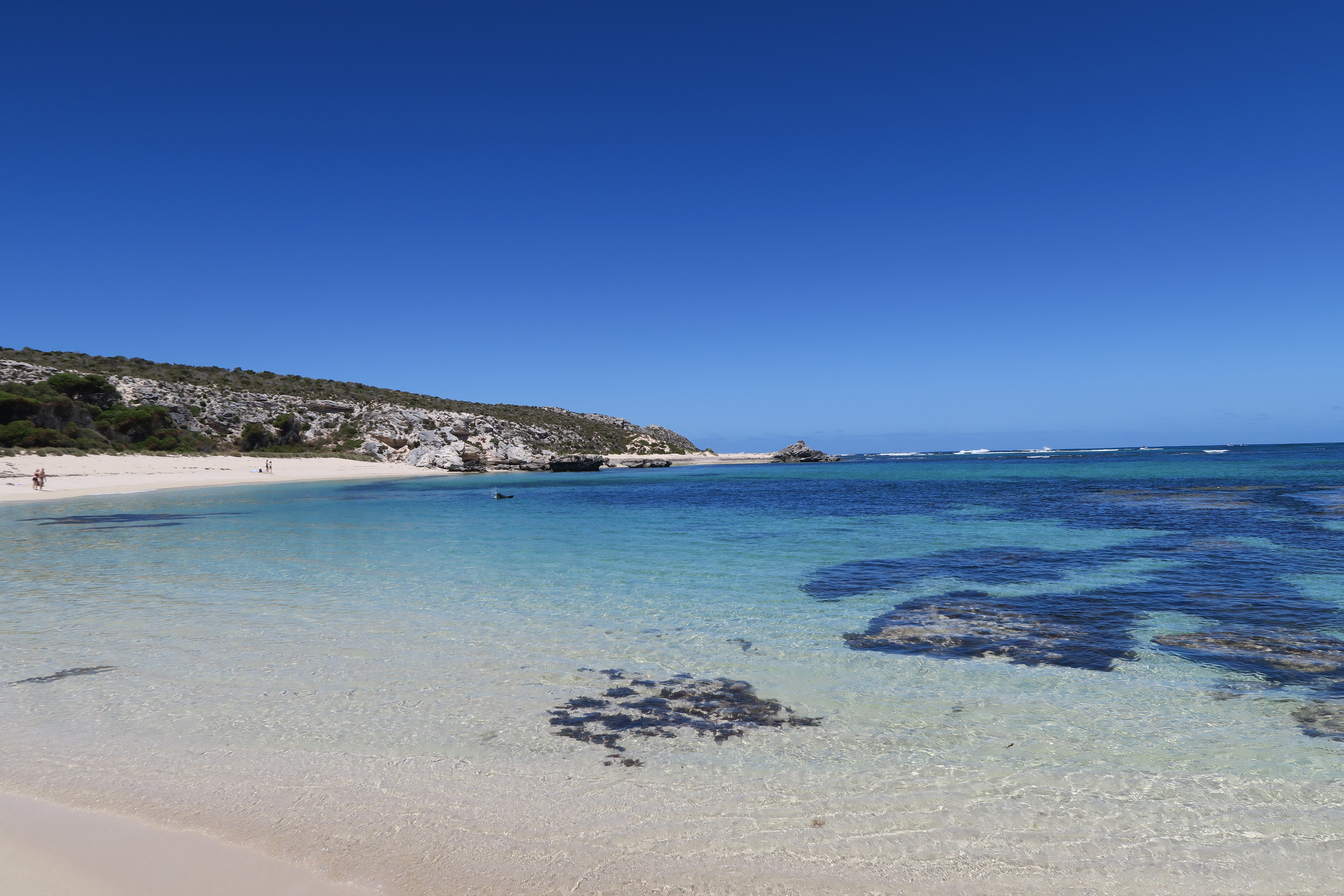 Afsted til Rottnest Island