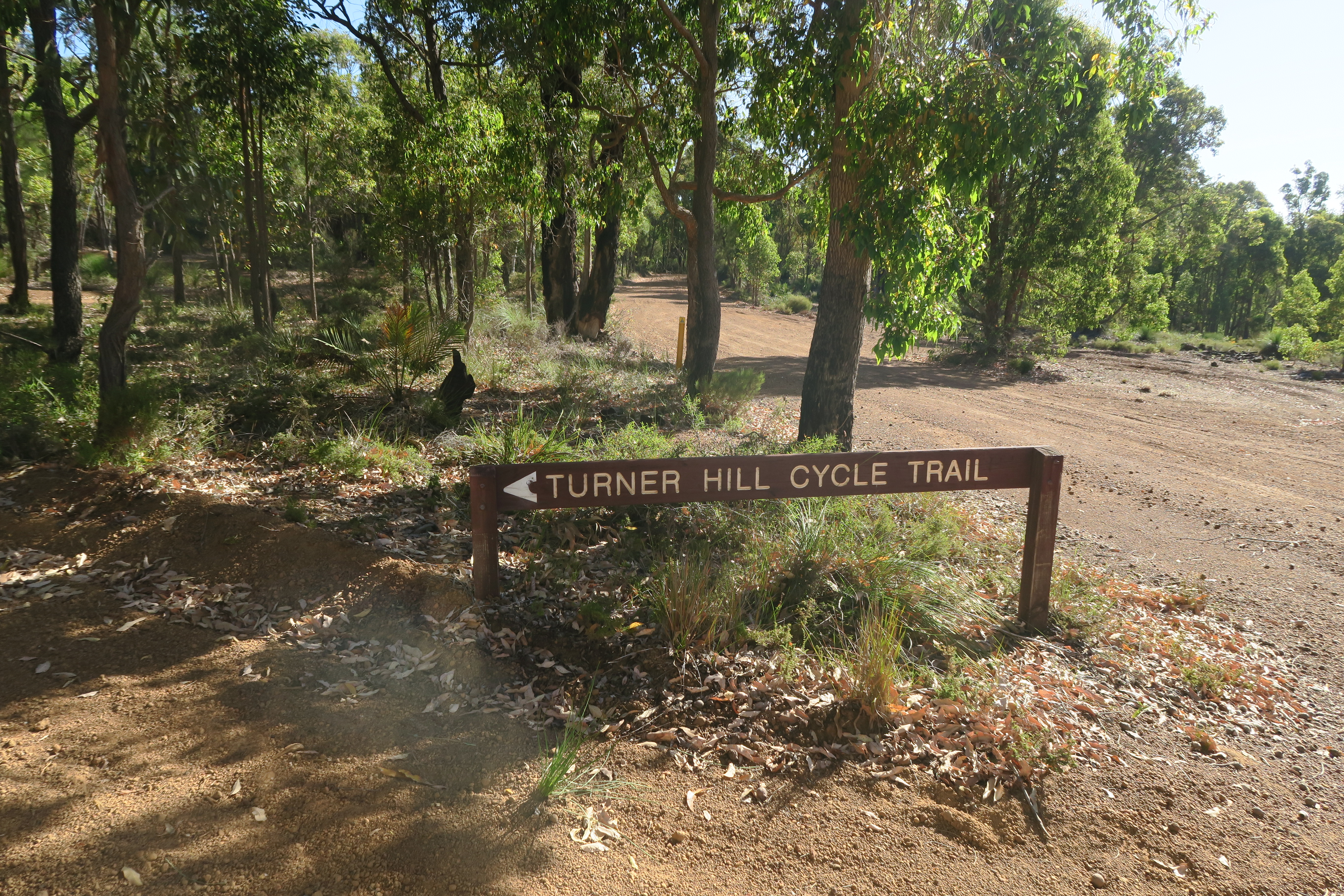 The Turner Hill Trail på MTB