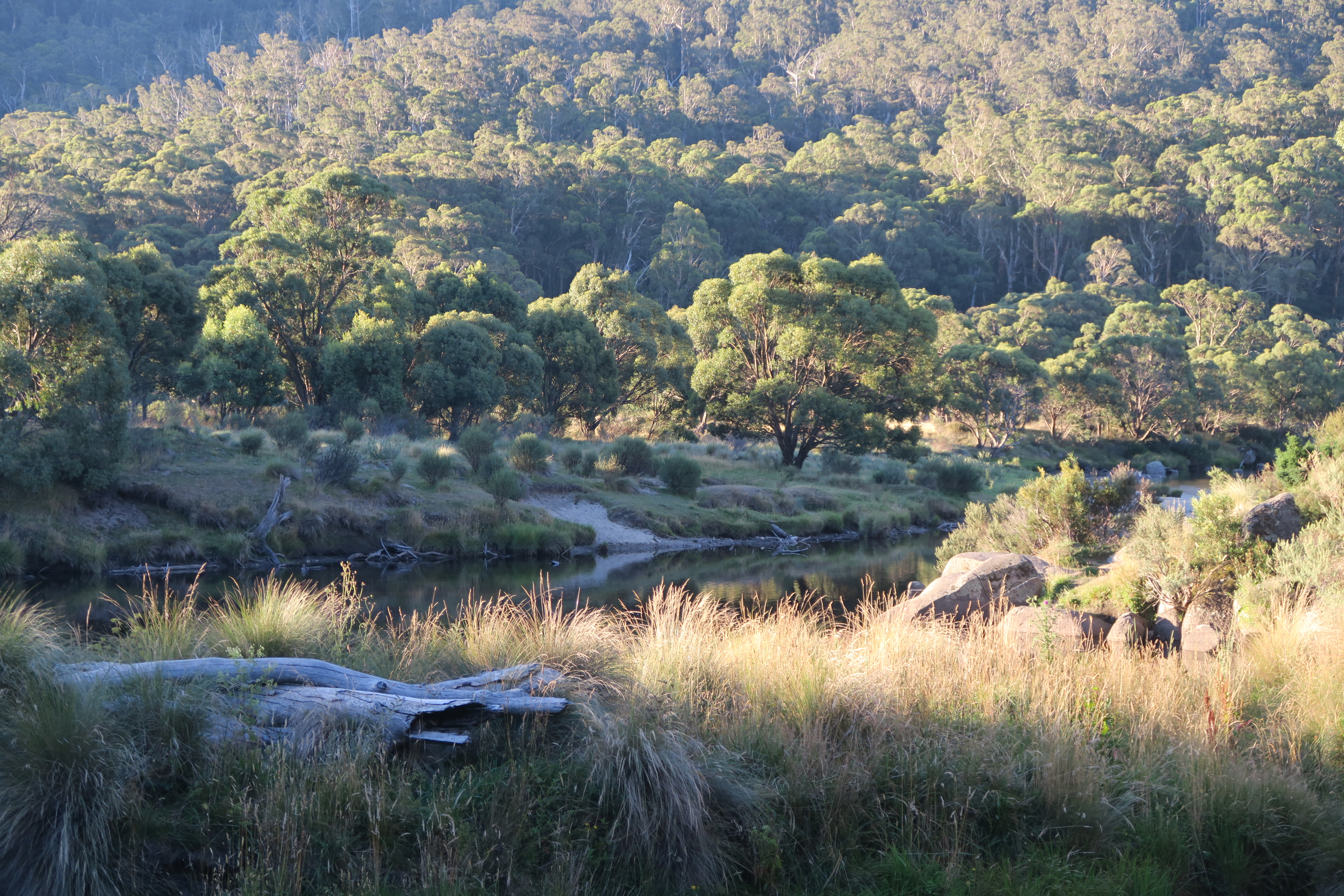Ændret kurs nordpå til Kosciuszko National Park