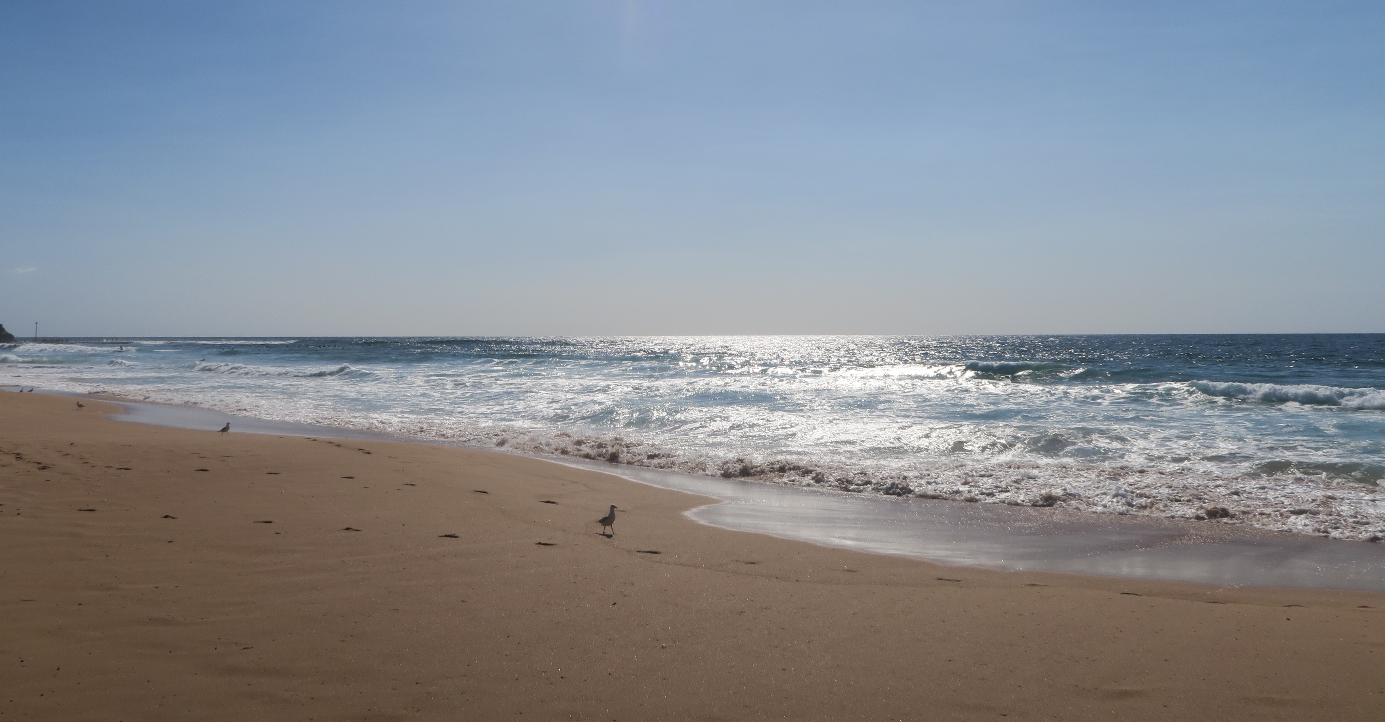 Stranddag på Narrabeen Beach