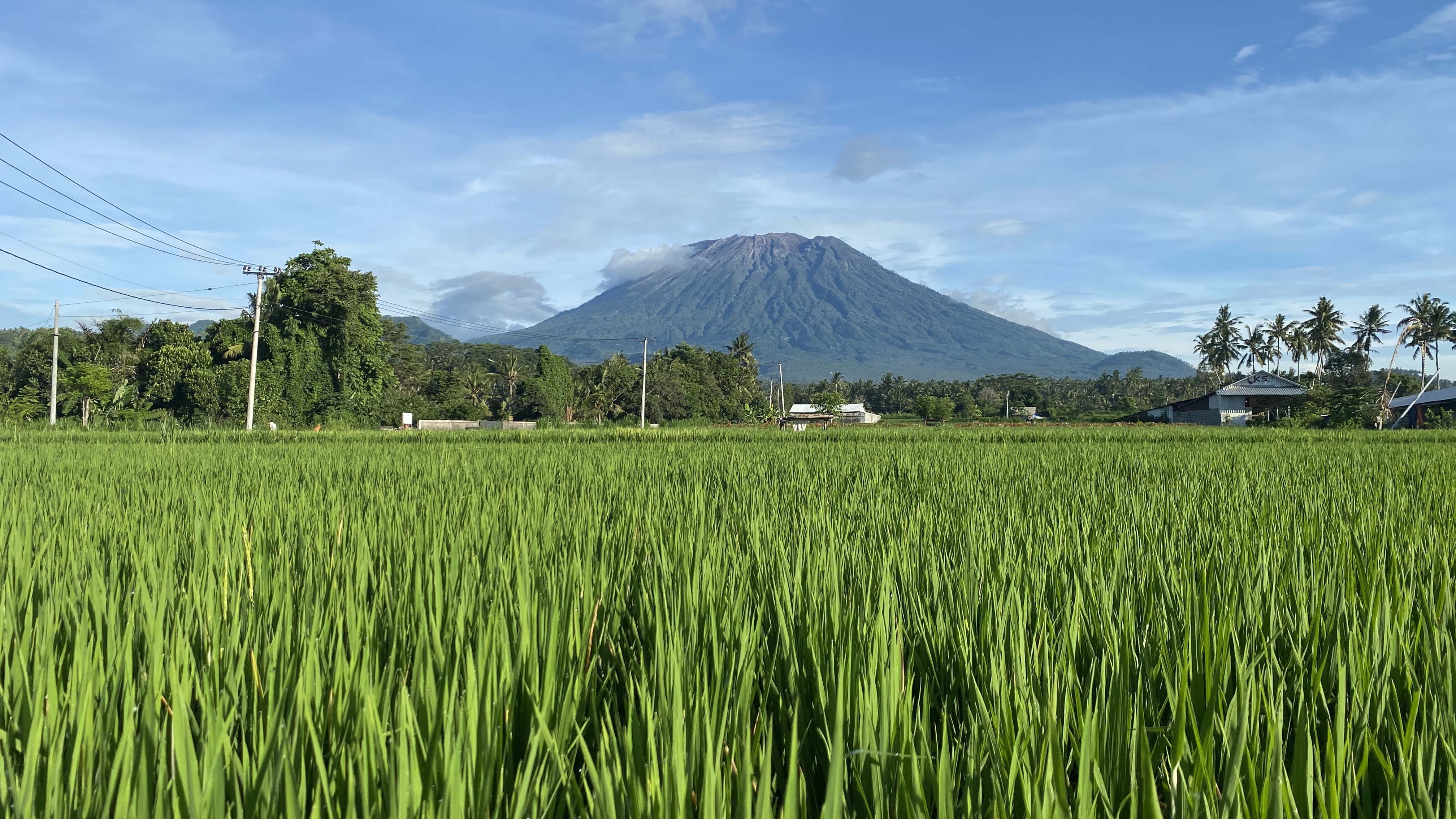 Rice Field Trekking – dags tur med Inyoman