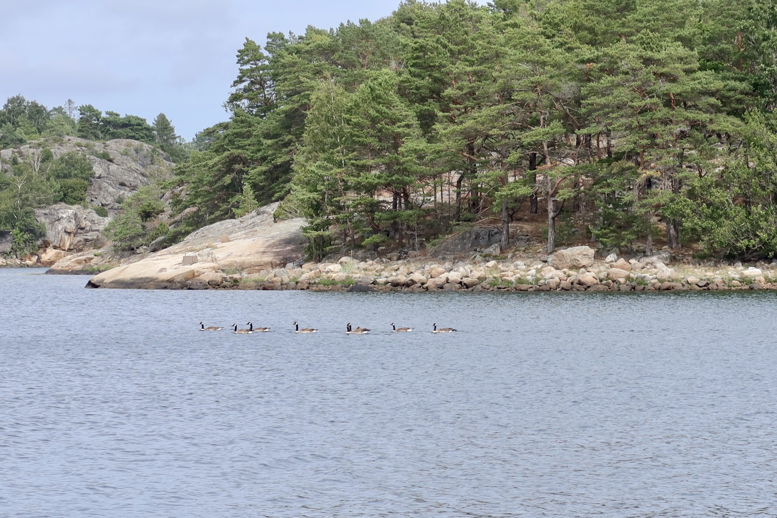 Tjälleskär til Nyckelbykilen ved Tjärnö
