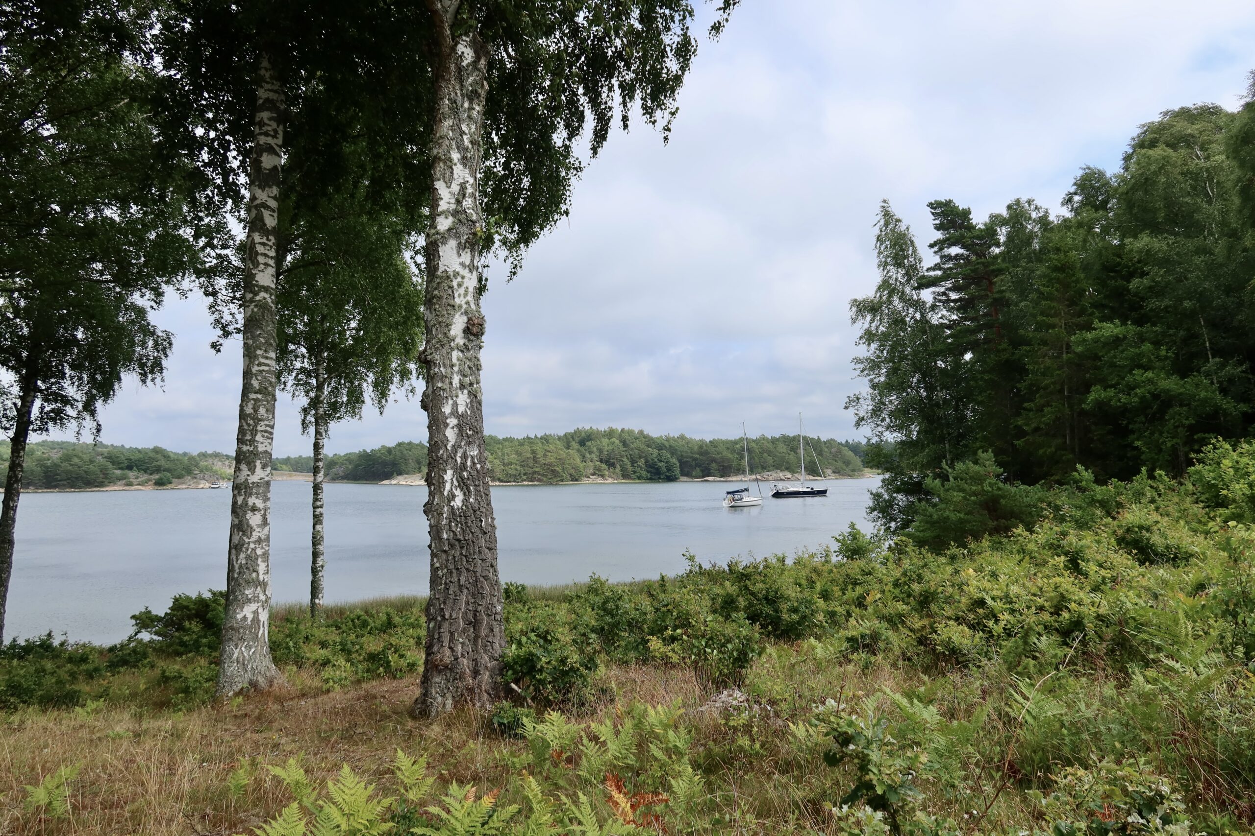 En oplevelses dag for Anker i Nykelbykilen