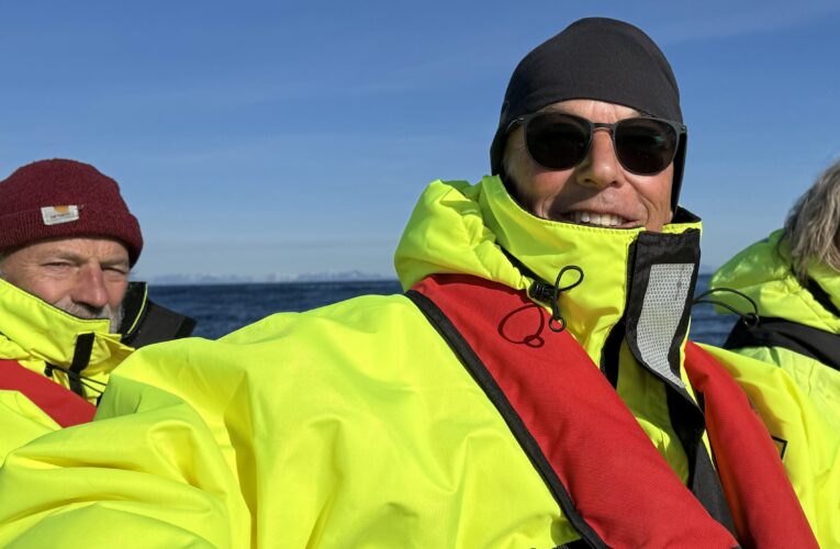 Whale safari i Andernes – kaskelothvaler på blåt vand.