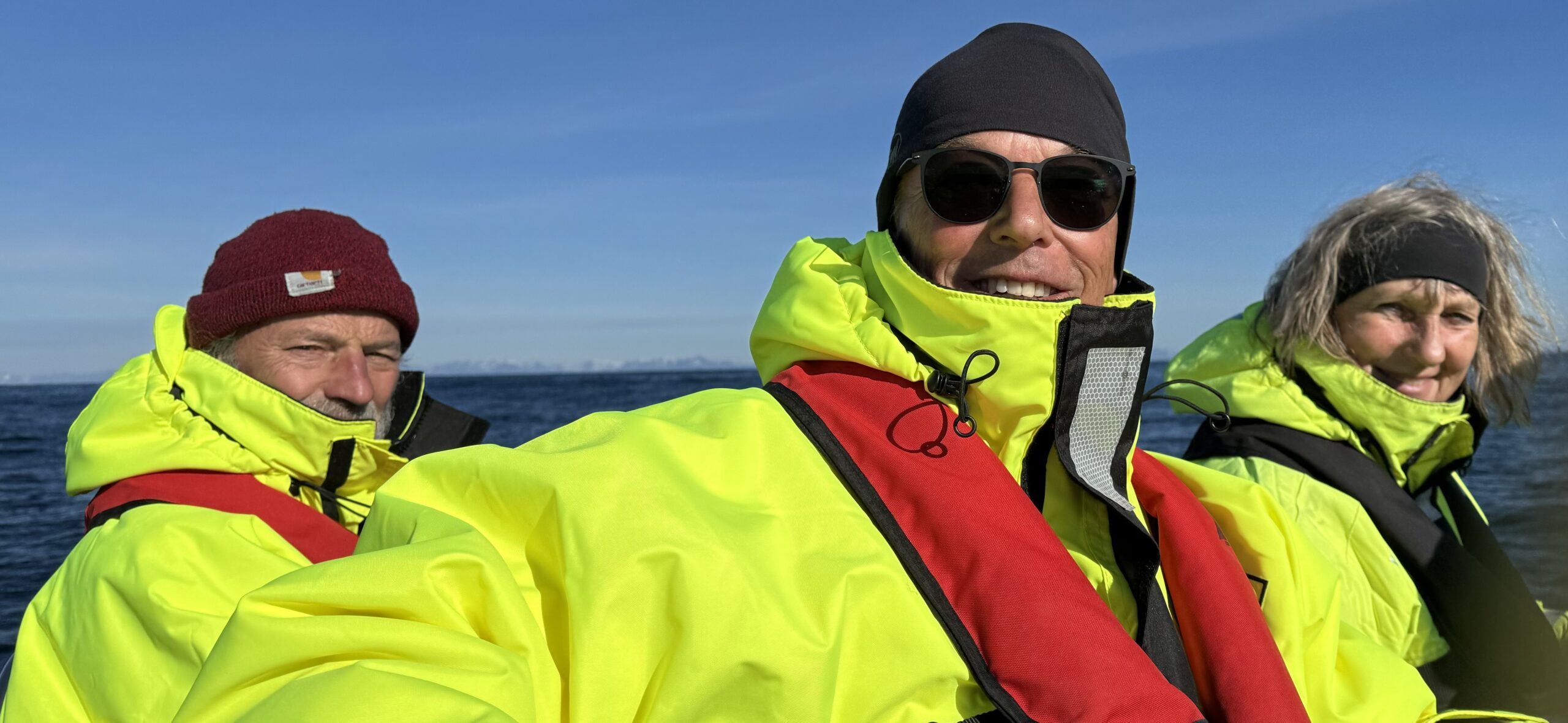Whale safari i Andernes – kaskelothvaler på blåt vand.