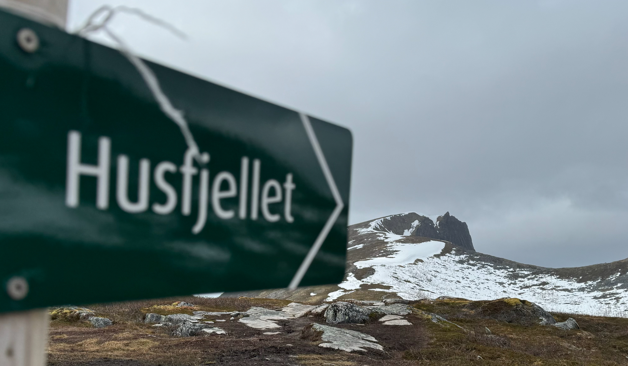 Vandring til toppen af Husfjellet på øen Senja