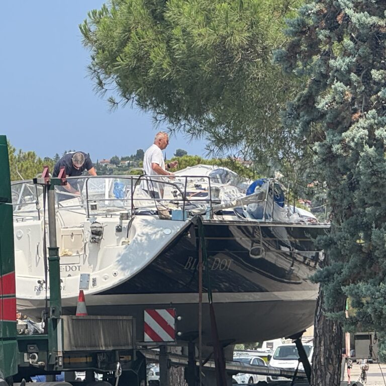 Gensyn med Blue Dot i Slovenien